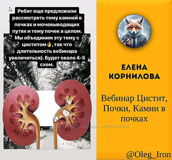 Елена Корнилова Вебинар Цистит, Почки, Камни в почках