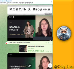Марина Васильева Деньги в смыслах. Тариф Я профи 2024