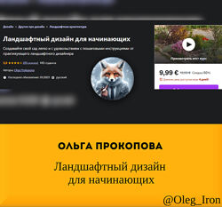 Ольга Прокопова  Ландшафтный дизайн для начинающих