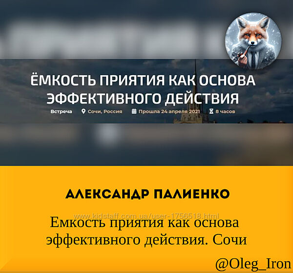 Александр Палиенко  Емкость приятия как основа эффективного действия. Сочи