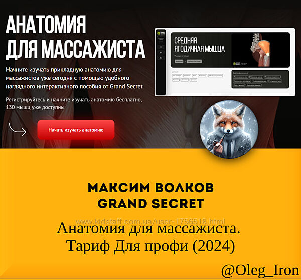 Максим Волков Grand Secret Анатомия для массажиста. Тариф Для профи 2024