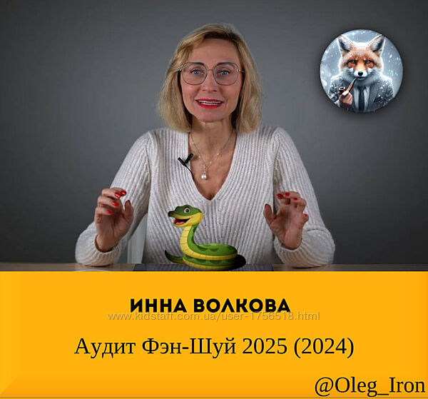 Инна Волкова Аудит Фэн-Шуй 2025 2024