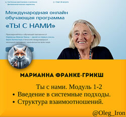 Марианна Франке-Грикш Ты с нами. Введение в системные подходы. Модуль 1-2