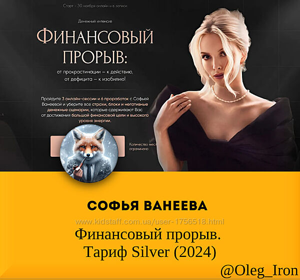 Софья Ванеева Финансовый прорыв. Тариф Silver 2024