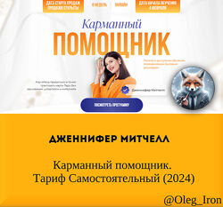Дженнифер Митчелл Карманный помощник. Тариф Самостоятельный 2024