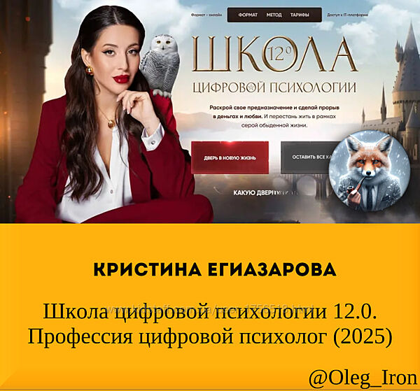 Кристина Егиазарова Школа цифровой психологии 12.0  цифровой психолог 2025