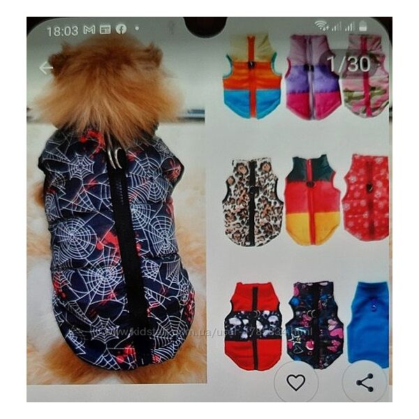 Жилетка для собачки