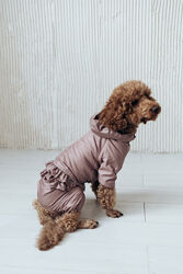  дождевики для девочек живот закрыт в расцветках Одежда для собак 