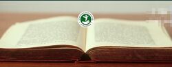 Питер Ван Кервель. Иглоукалывание и головная боль
