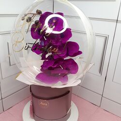 Орхідея в кульці 