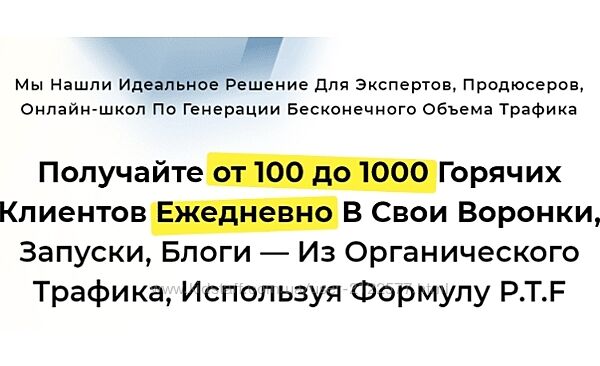 Илья Волк Стратегия Organic Traffic 2022