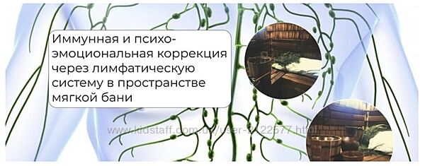 Никита Истомин Иммунная и психо-эмоциональная коррекция через лимфатическую
