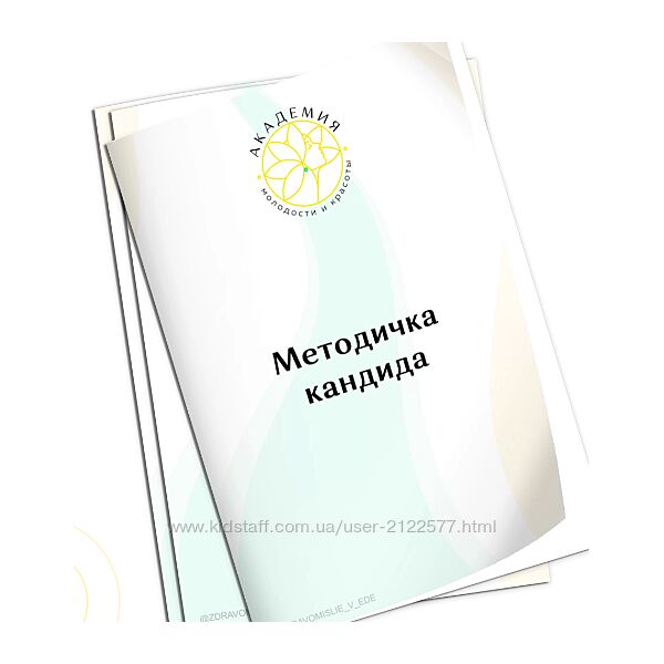 Ольга Евдокимова Методичка кандида 2022
