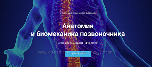 Анатомия и биомеханика позвоночника Антон Епифанов, Михаил Касаткин 2020