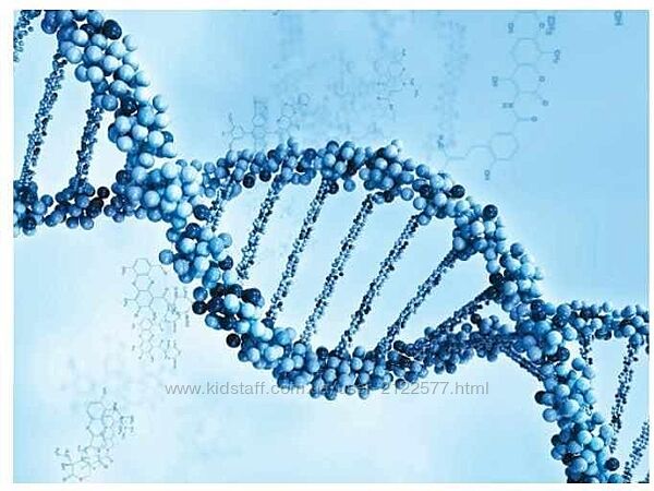 Екатерина Гарцева Тело знает 2023