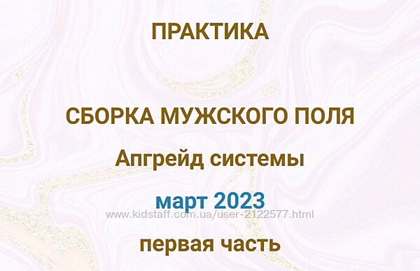 Эмилия Франк Практика Сборка мужского поля. Апгрейд системы 2023