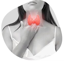 Татьяна Левищева, Ольга Абакумова - Секреты здоровой щитовидки 2023