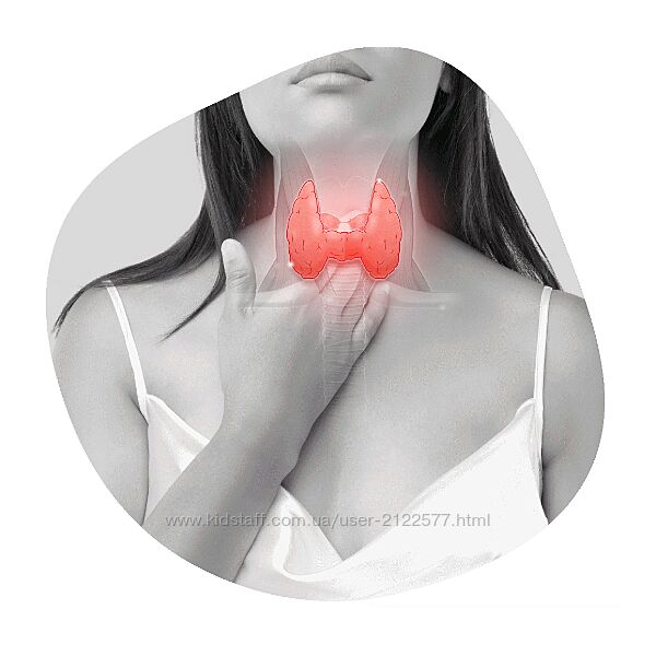 Татьяна Левищева, Ольга Абакумова - Секреты здоровой щитовидки 2023