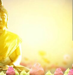 Джудит ДеЛозье Цветение жизни Когда НЛП Встречает Буддизм 2020