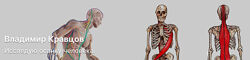 Владимир Кравцов Исправляем кривые ноги 2023