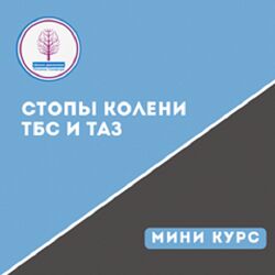 Татьяна Сахарчук Школа движения Стопы - Колени - ТБС и Таз 2023