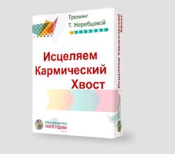Татьяна Жеребцова Исцеление Кармического Хвоста. Денежная карма 2023