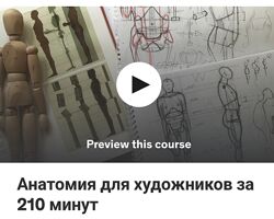 Дарья Остапенко Праведникова - Анатомия для художников за 210 минут 2023