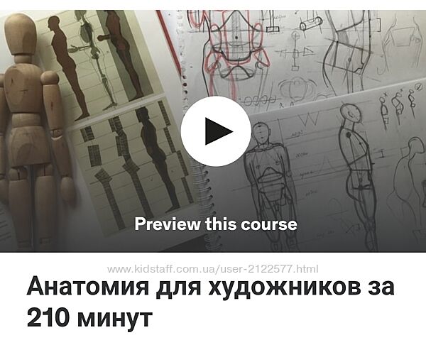 Дарья Остапенко Праведникова - Анатомия для художников за 210 минут 2023