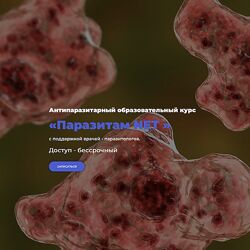 Олег Лоскутов, Лали Бацикадзе Паразитам NET 2023