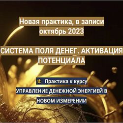 Эмилия Франк Система поля денег. Активация потенциала 2023