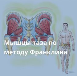 Людмила Бабанская - Мышцы таза по методу Франклина 2023