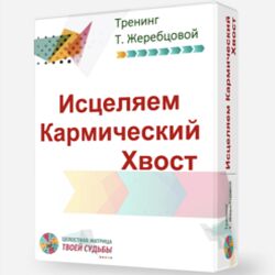 Татьяна Жеребцова Исцеление Кармического Хвоста. Денежная карма 2023