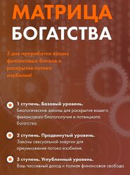 Ольга Коробейникова Матрица богатства 3 ступени