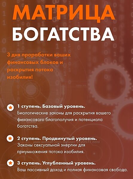 Ольга Коробейникова Матрица богатства 3 ступени