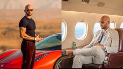 Эндрю Тейта Университет Hustlers University 2023