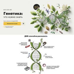 Егор Мусин Генетика что нужно знать 2023 Level One