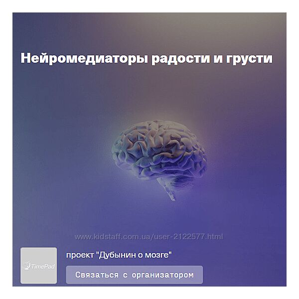 Вячеслав Дубынин Нейромедиаторы радости и грусти 2023 Дубынин о мозге