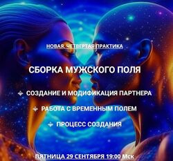 Эмилия Франк Сборка мужского поля Создание партнера. Работа с Временным