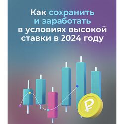 Дмитрий Толстяков Как заработать в условиях высокой ставки в 2024 году 