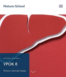 Natura-School Олег Гитбиндер - Урок 8 Печень и желчный пузырь 2022