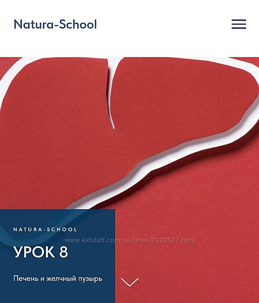 Natura-School Олег Гитбиндер - Урок 8 Печень и желчный пузырь 2022