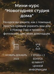 Яна Савина Новогодняя студия дома 2023