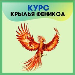 Анастасия Шагарова Крылья Феникса Тариф Я только посмотреть 2023