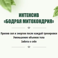 Юлия Кудрина Интенсив Бодрая митохондрия 2023