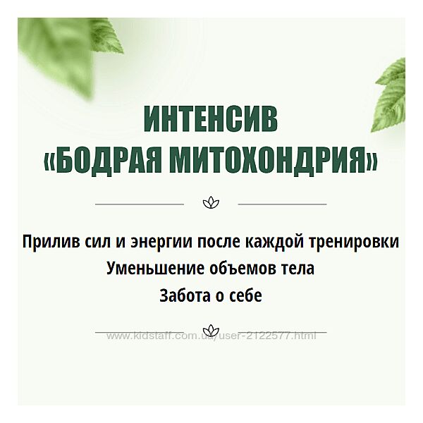 Юлия Кудрина Интенсив Бодрая митохондрия 2023