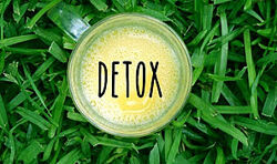 Анна Шутова Печень детокс программа  IQketo