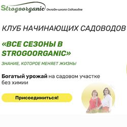 Strogoorganic Полноценный курс начинающего садовода для занятых женщин