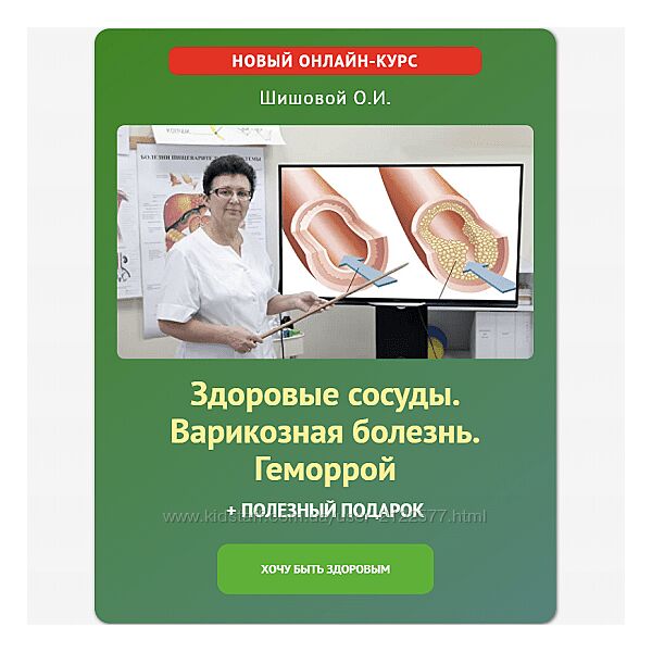 Ольга Шишова Здоровые сосуды Варикозная болезнь Геморрой 2024