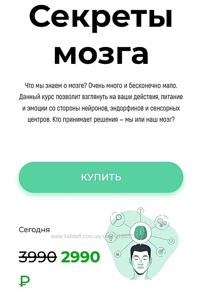 Викиум Секреты мозга 2023
