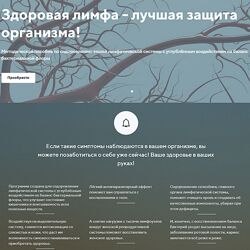 Светлана Калмыкова Здоровая лимфа - лучшая защита организма 2023